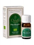 Pino Silvestre Oil - Oroil