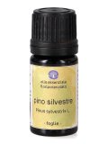 Pino Silvestre - Olio Essenziale Floripotenziato