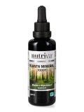 Planta Mineral Toddy