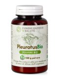 Pleurotus Polvere Bio