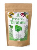 Polvere di Brahmi Raw Bio - Bacopa monnieri