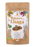Polvere di Chaga Bio