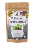 Polvere di Gynostemma