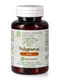 Polyporus Basic