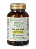 Polyporus Plus - Formula Potenziata