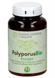 Polyporus Polvere Bio