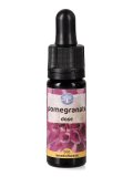 Pomegranate - Fiori californiani