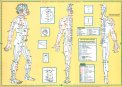 Poster - Atlante Completo dei Meridiani di Do-In e Shiatsu — Poster