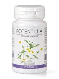 Potentilla