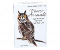 Power Animals