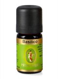 Primavera - Olio Essenziale di Basilico