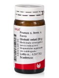 Prunus s. ferm c. Ferro Globuli Velati