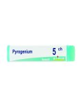 Pyrogenium 5CH Globuli Monodose Boiron