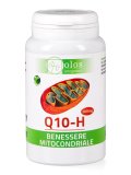 Q10-H
