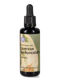 Quercus Peduncolata - Gemmoderivato - Gemme