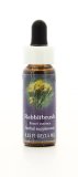 Rabbitbrush - Fiori californiani