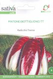 Semi di Radiccio Treviso Pintone (Bottiglione)