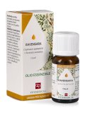 Ravensara - Olio Essenziale