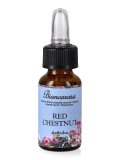 Red Chestnut - Fiori di Bach