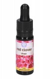 Red Clover - Fiori californiani