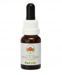 Red Lily - Fiori australiani - 15 ml