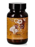 Reishi - MicoEST