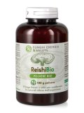 Reishi Polvere Bio