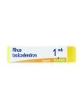 Rhus Toxicodendron 1MK Globuli Monodose Boiron