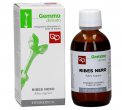 Ribes Nero - Gemmoderivato