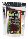 Ribes Nero in Polvere Biologico