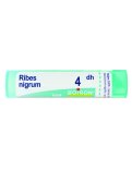 Ribes Nigrum 4DH Granuli Boiron
