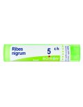Ribes Nigrum 5CH Granuli Boiron