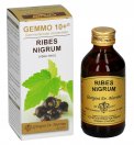 Ribes Nigrum Gemmoderivato Concentrato - Gemmo 10+ ®