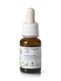 Ribes Nigrum PSC - Ribes Nero Gemme