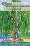 Riflessi di un'Anima Incarnata. Vol. 1 Terra — Libro