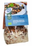 Risotto ai Funghi Porcini