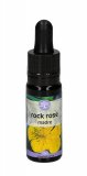 Rock Rose - Soluzione Madre