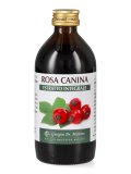 Rosa Canina