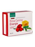 Rosa Canina Energie - Ampolle