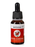 Rosa Canina - Estratto Idrogliceralcolico da Pianta Fresca