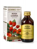 Rosa Canina Gemmoderivato Concentrato - Gemmo 10+ ®