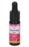 Rosemary - Fiori californiani