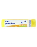 Ruta Graveolens 4CH Granuli Boiron