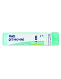 Ruta Graveolens 6CH Granuli Boiron