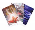 Sacra Natura - Carte degli Animali Guida e degli Spiriti Naturali