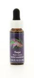 Sage - Fiori californiani