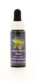 Saint John's Wort - Fiori californiani