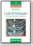 I sali di Schussler — Libro