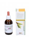 Salix Alba Gemme - Fito Attivo n. 45