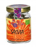 Salvia